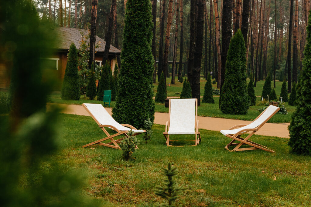 Крісло-шезлонг Classic Chalet Swing ― фото 2