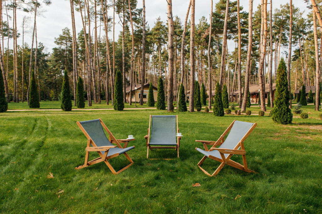 Крісло-шезлонг Classic Chalet chair ― фото 1