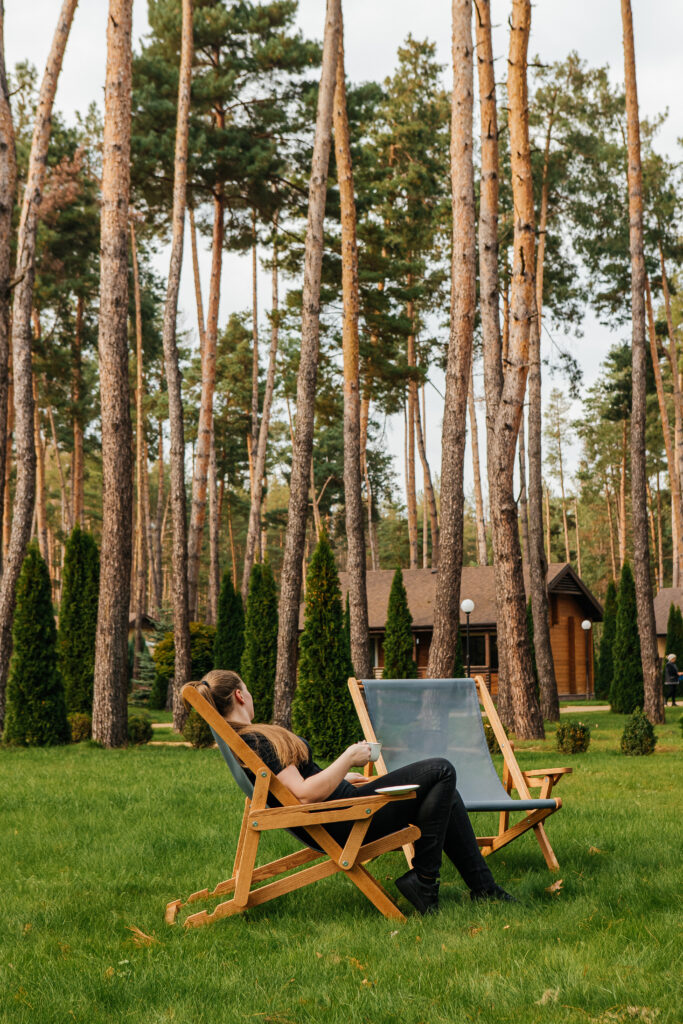 Крісло-шезлонг Classic Chalet chair ― фото 3